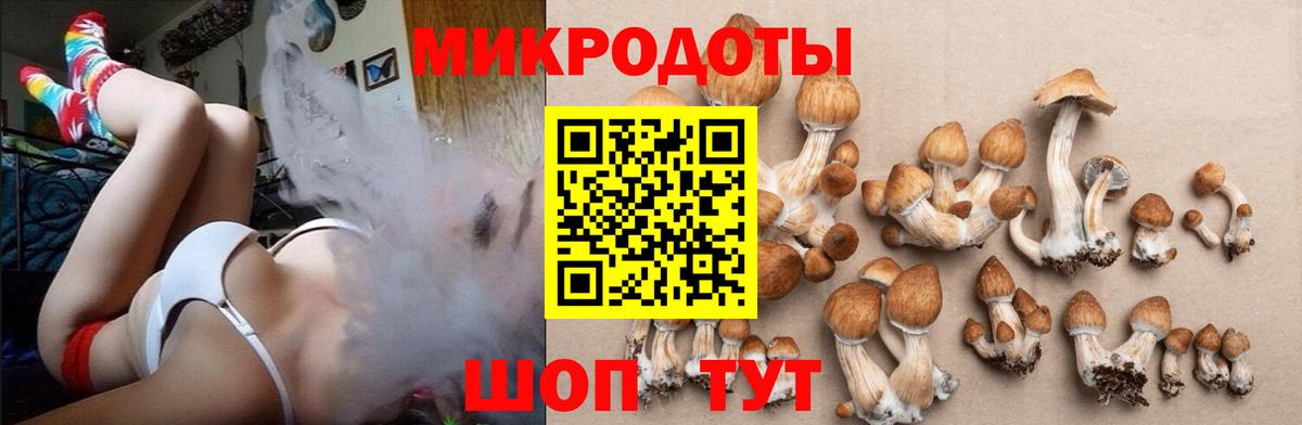 Галлюциногенные грибы Cubensis  Галлюциногенные грибы Cubensis  Вход с VPN  Севастополь 